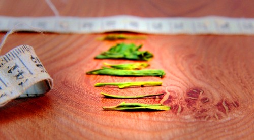 Lalani & Co: Yabukita Sencha Organic Tea Leaves