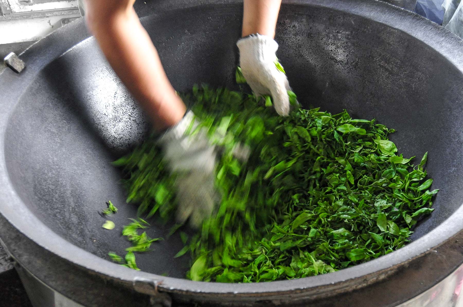 Lalani & Co: Pan heating green tea Miyazaki Garden