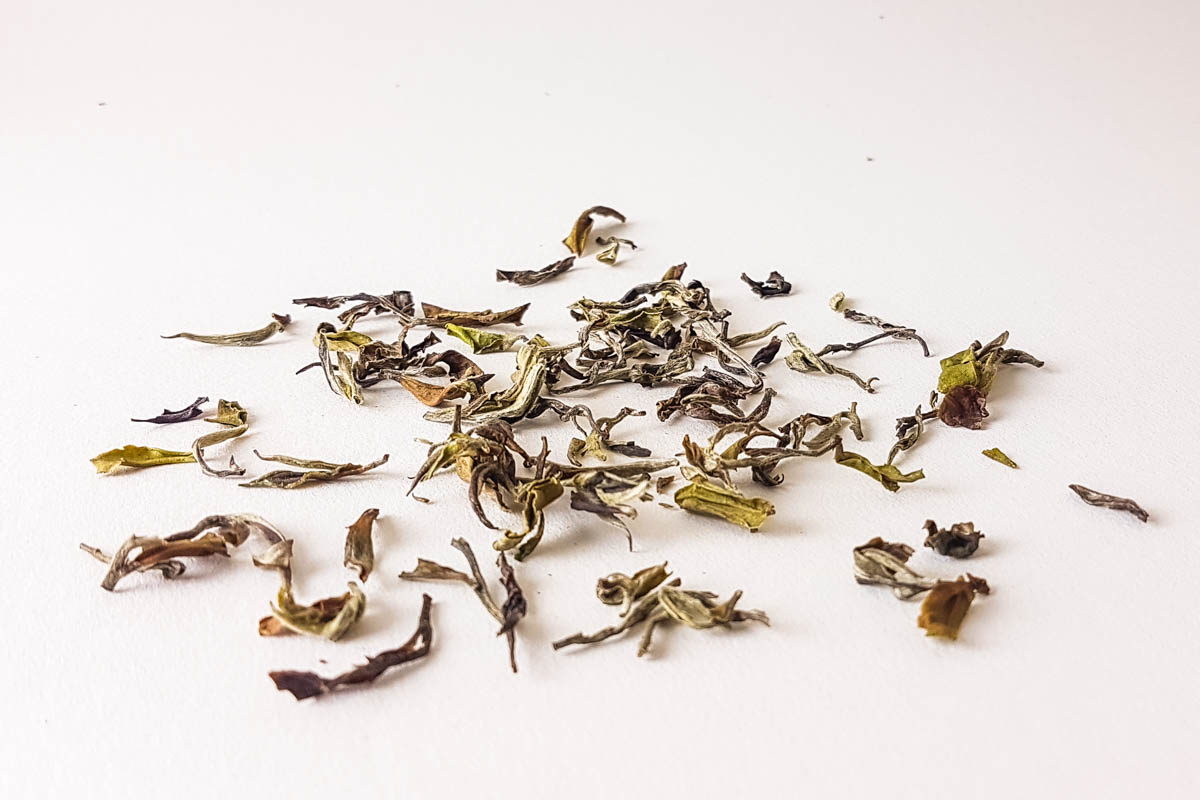 Lalani & Co: 1st Flush Darjeeling 2022 Spring Peony
